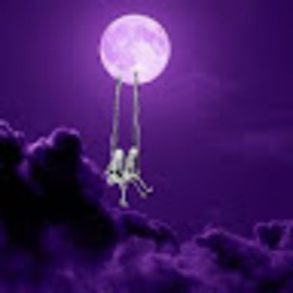 Meet your Posher, Macee - Picture 1 of 1